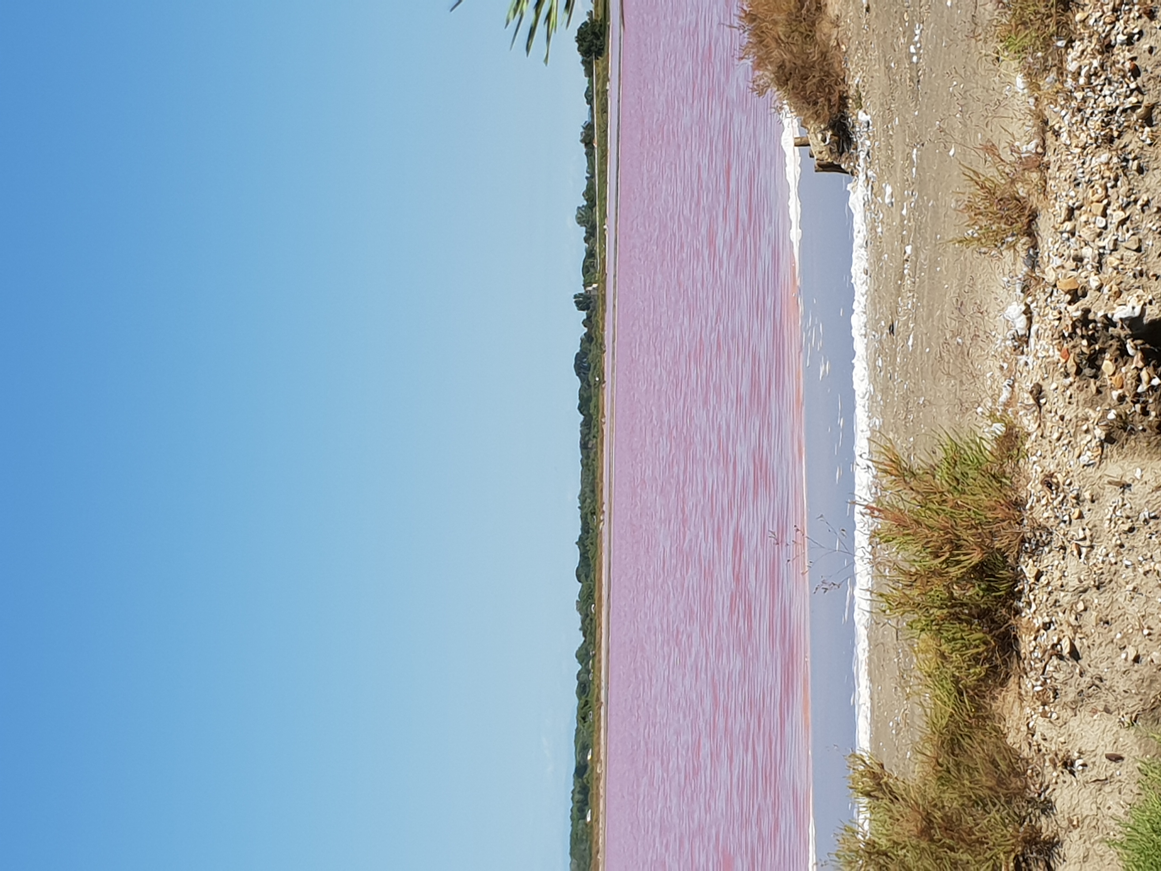 Les salins roses d'Aigues-Mortes, en Camargue, en France