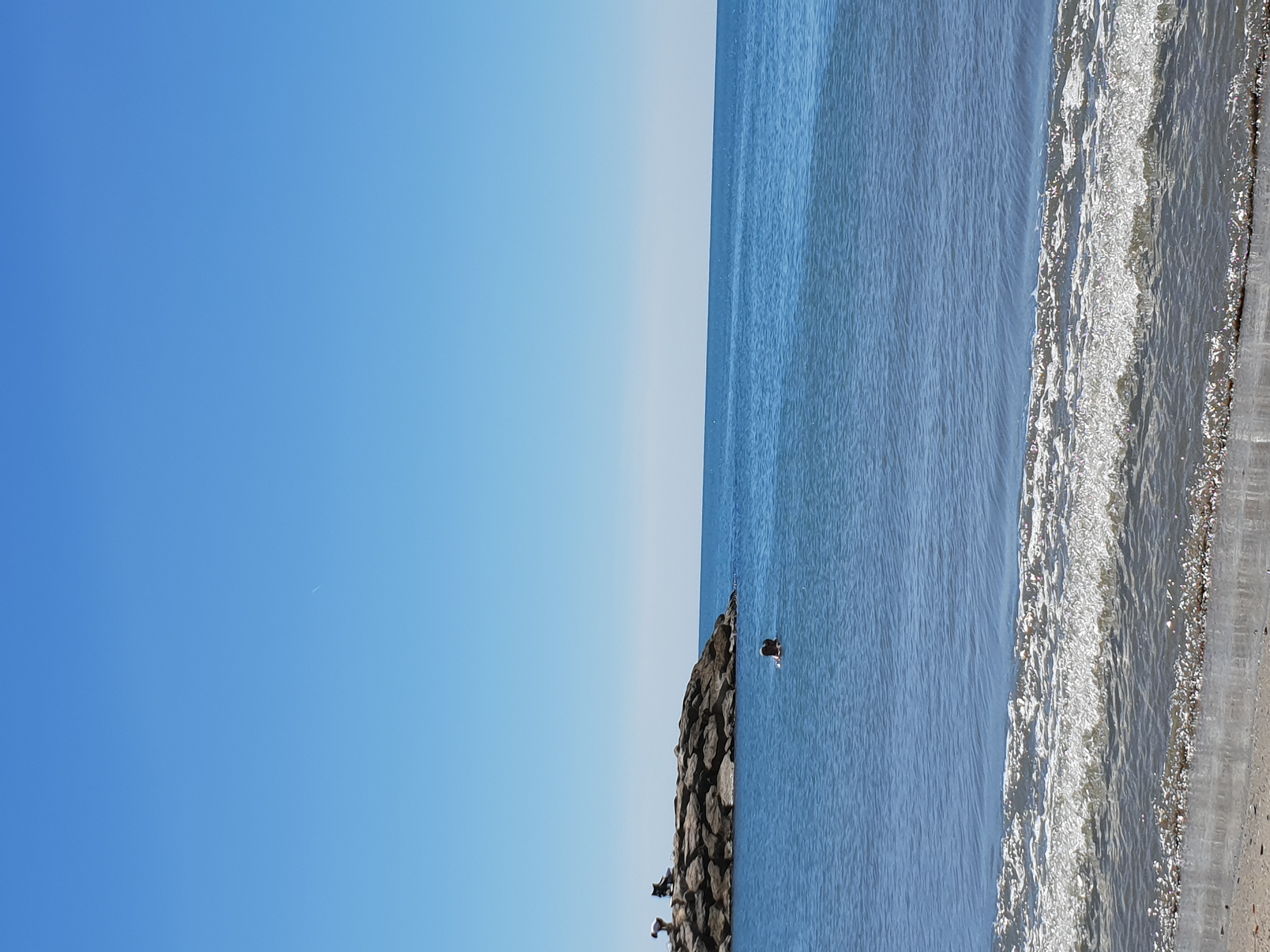 la Mer, en Camargue, en France